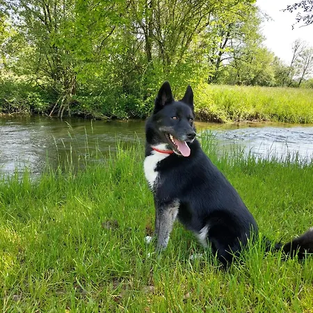 Dom wakacyjny Ferienparadies Haus Monica