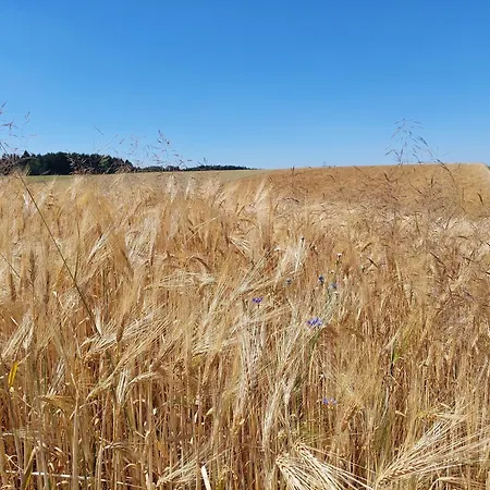 Dom wakacyjny Ferienparadies Haus Monica *