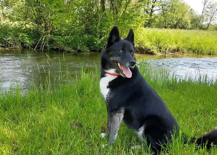 Tatil Evi Ferienparadies Haus Monica