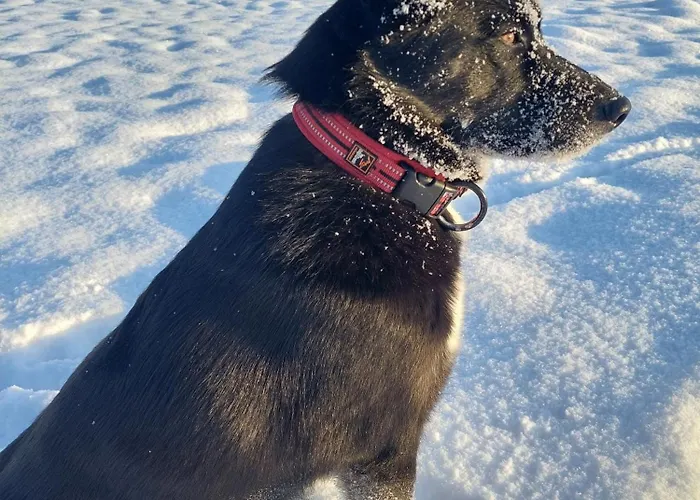 Ferienparadies Haus Monica Prázdninový dům Weikertsham