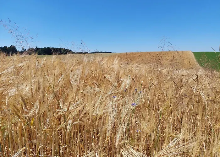 Prázdninový dům Ferienparadies Haus Monica *